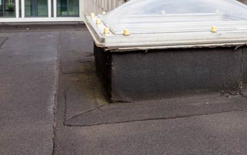 disadvantages of Fordie flat roofs